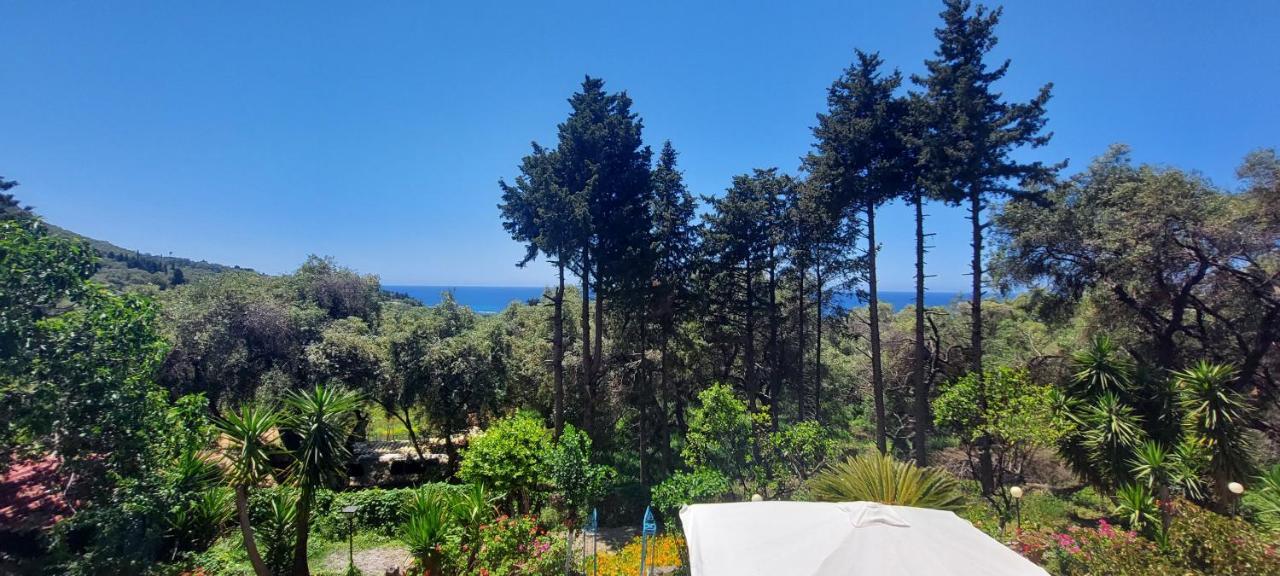 Villa Leena Paramonas  Zewnętrze zdjęcie